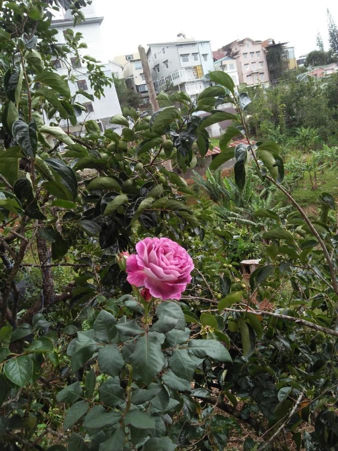 大叻Nha Cua Soc公寓 外观 照片